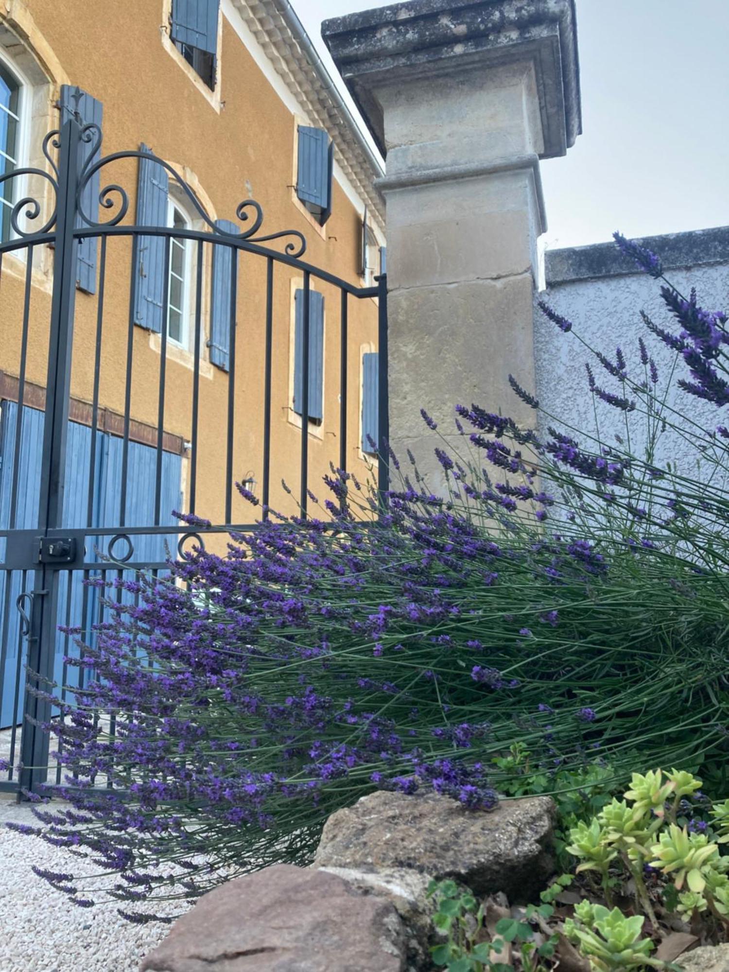 Domaine Forvent Bed & Breakfast Saint-Julien-de-Peyrolas Екстериор снимка